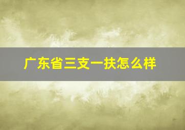 广东省三支一扶怎么样