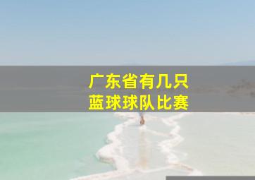 广东省有几只蓝球球队比赛