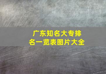 广东知名大专排名一览表图片大全