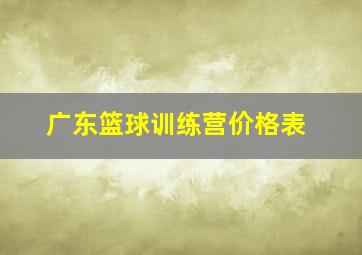 广东篮球训练营价格表