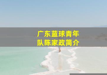 广东蓝球青年队陈家政简介