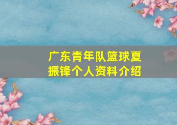 广东青年队篮球夏振锋个人资料介绍