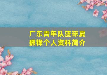 广东青年队篮球夏振锋个人资料简介