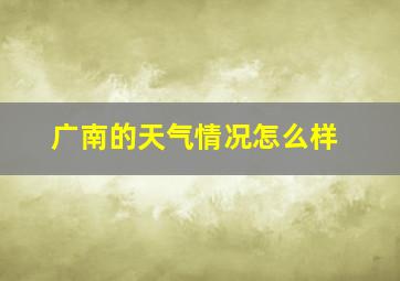 广南的天气情况怎么样