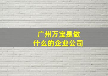 广州万宝是做什么的企业公司