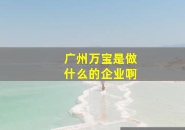 广州万宝是做什么的企业啊