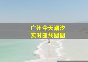 广州今天潮汐实时曲线图图