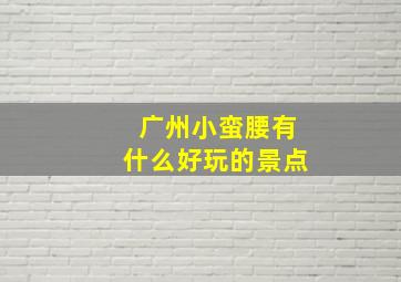 广州小蛮腰有什么好玩的景点