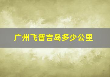 广州飞普吉岛多少公里