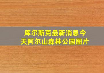 库尔斯克最新消息今天阿尔山森林公园图片