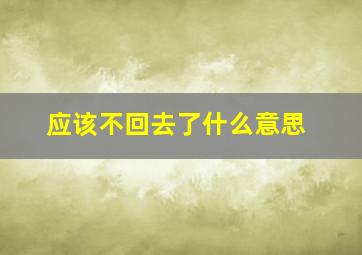 应该不回去了什么意思