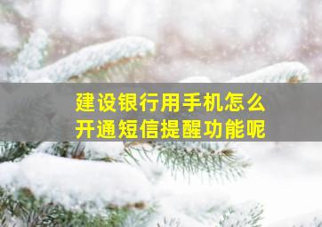 建设银行用手机怎么开通短信提醒功能呢