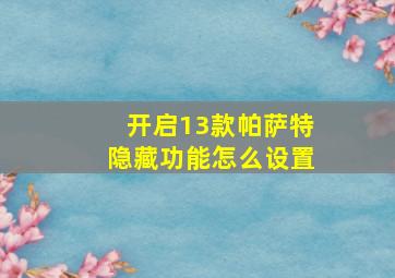 开启13款帕萨特隐藏功能怎么设置