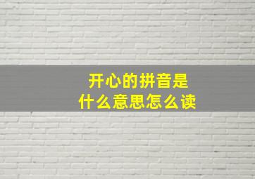 开心的拼音是什么意思怎么读