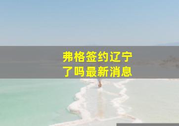 弗格签约辽宁了吗最新消息