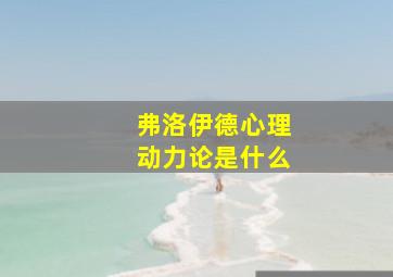 弗洛伊德心理动力论是什么