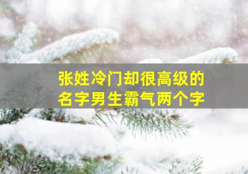 张姓冷门却很高级的名字男生霸气两个字