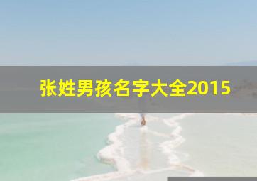 张姓男孩名字大全2015