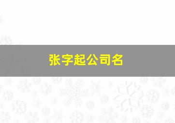 张字起公司名