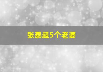 张泰超5个老婆