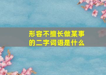 形容不擅长做某事的二字词语是什么