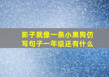 影子就像一条小黑狗仿写句子一年级还有什么