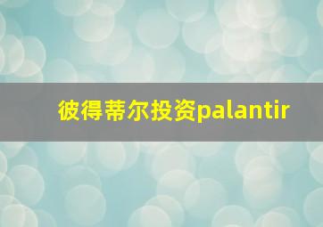 彼得蒂尔投资palantir