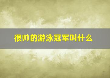 很帅的游泳冠军叫什么