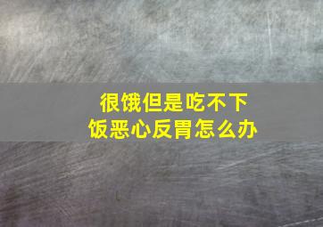 很饿但是吃不下饭恶心反胃怎么办