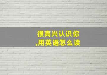 很高兴认识你,用英语怎么读