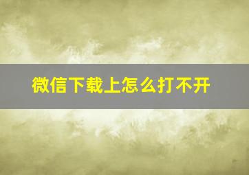 微信下载上怎么打不开