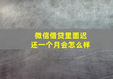 微信借贷里面迟还一个月会怎么样