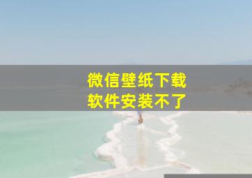 微信壁纸下载软件安装不了