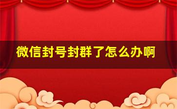 微信封号封群了怎么办啊