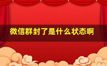 微信群封了是什么状态啊