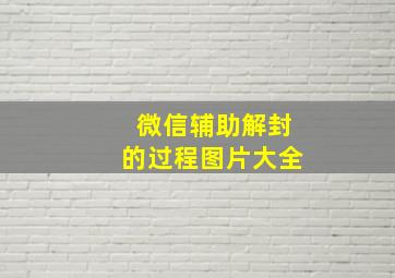 微信辅助解封的过程图片大全