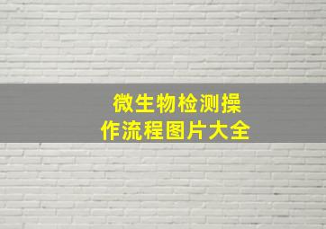 微生物检测操作流程图片大全