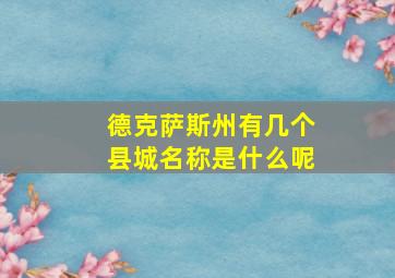 德克萨斯州有几个县城名称是什么呢