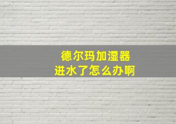 德尔玛加湿器进水了怎么办啊