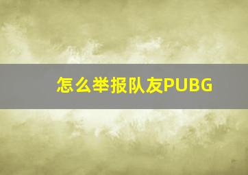 怎么举报队友PUBG