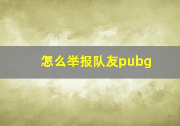 怎么举报队友pubg