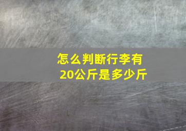 怎么判断行李有20公斤是多少斤