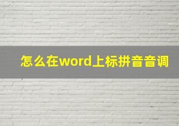 怎么在word上标拼音音调