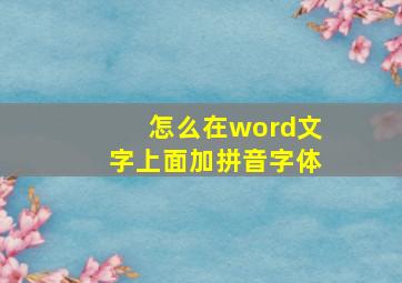 怎么在word文字上面加拼音字体