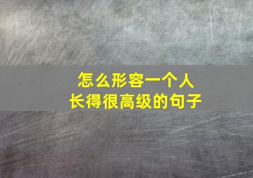 怎么形容一个人长得很高级的句子