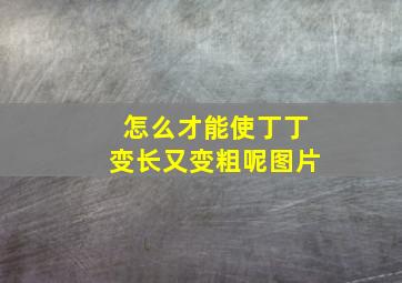 怎么才能使丁丁变长又变粗呢图片