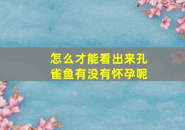 怎么才能看出来孔雀鱼有没有怀孕呢