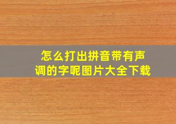 怎么打出拼音带有声调的字呢图片大全下载