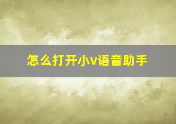 怎么打开小v语音助手