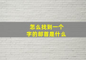 怎么找到一个字的部首是什么